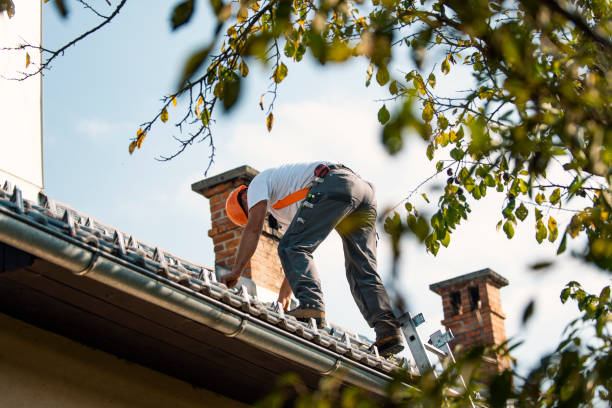 Roof Moss and Algae Removal in Post Falls, ID